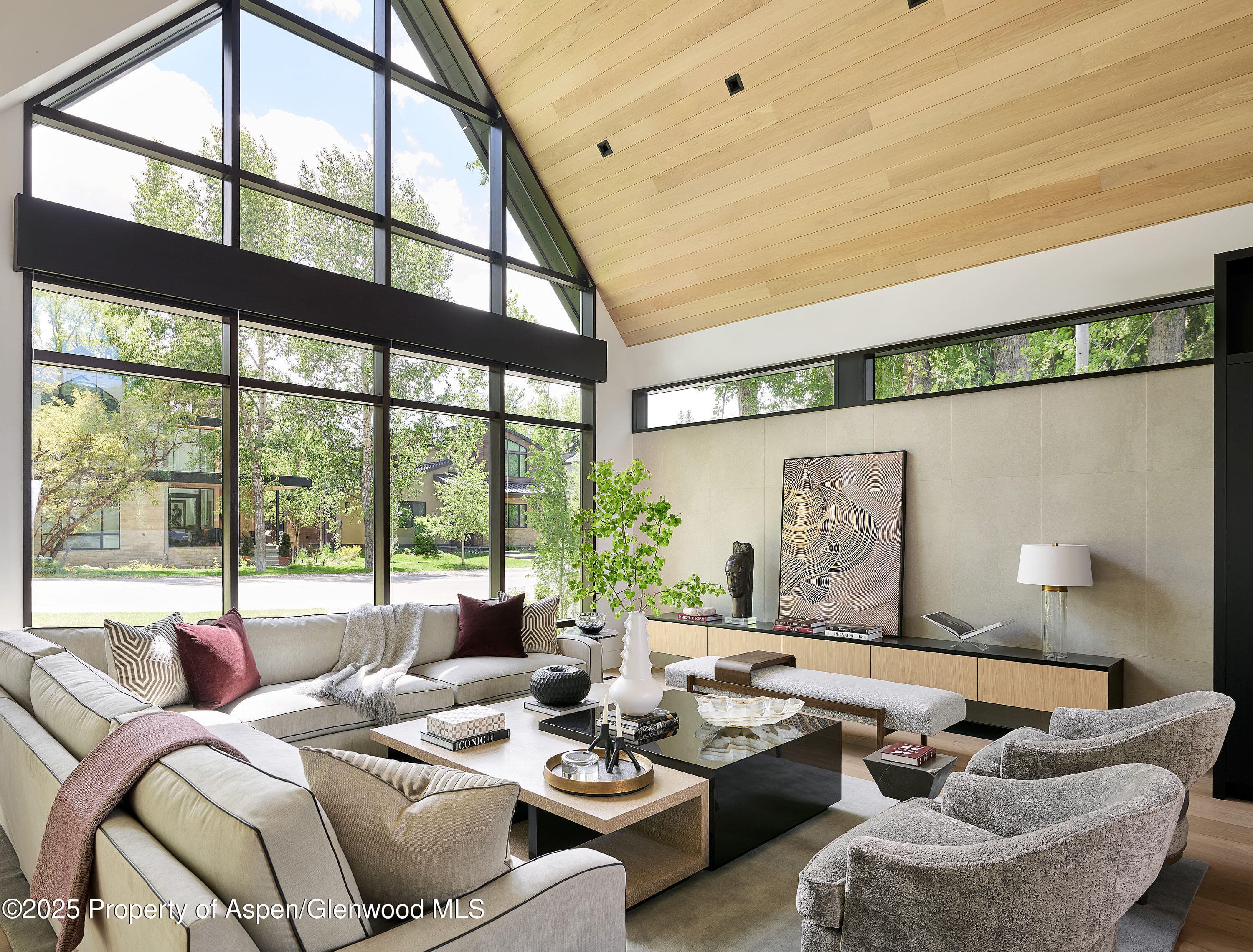 810 W Smuggler Street, Aspen, CO 81611